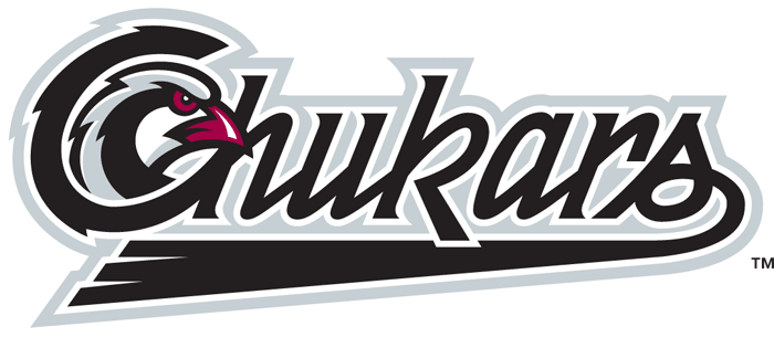 Idaho Falls Chukars 2004-Pres Wordmark Logo iron on heat transfer